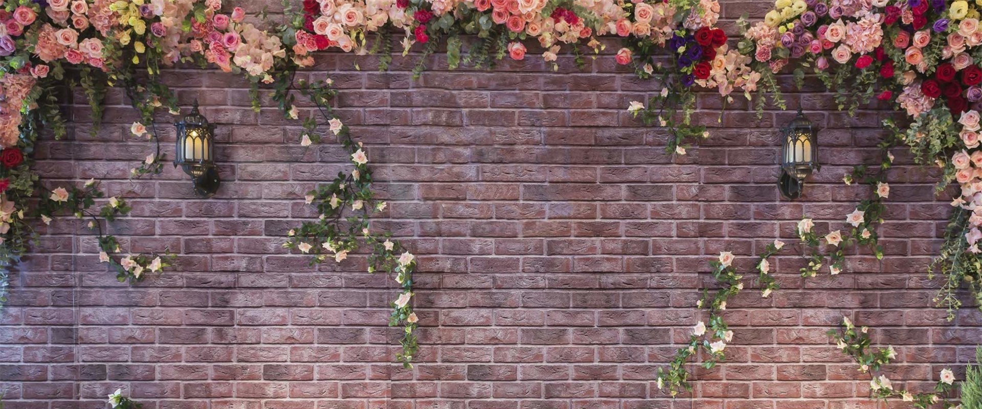 Fondos y fondos portátiles para fotógrafos de bodas