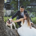 Discutir las metas y expectativas con el fotógrafo de su boda