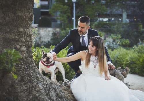 Retratos de novios: capturando el momento perfecto